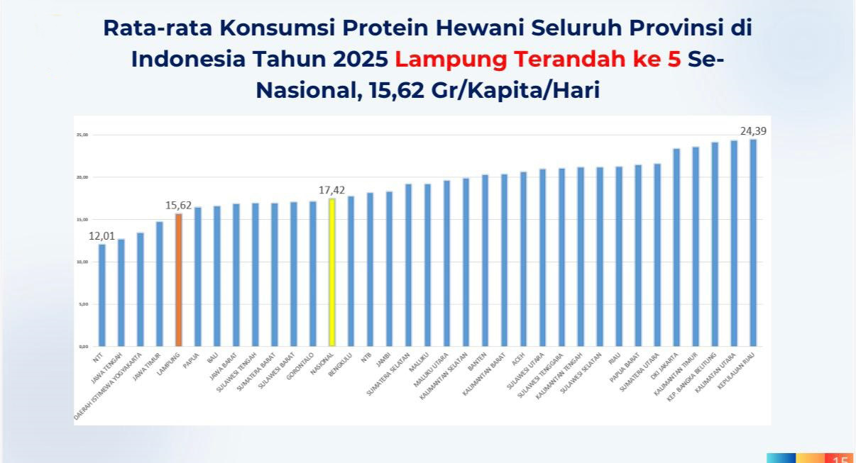 Lampung Darurat Protein