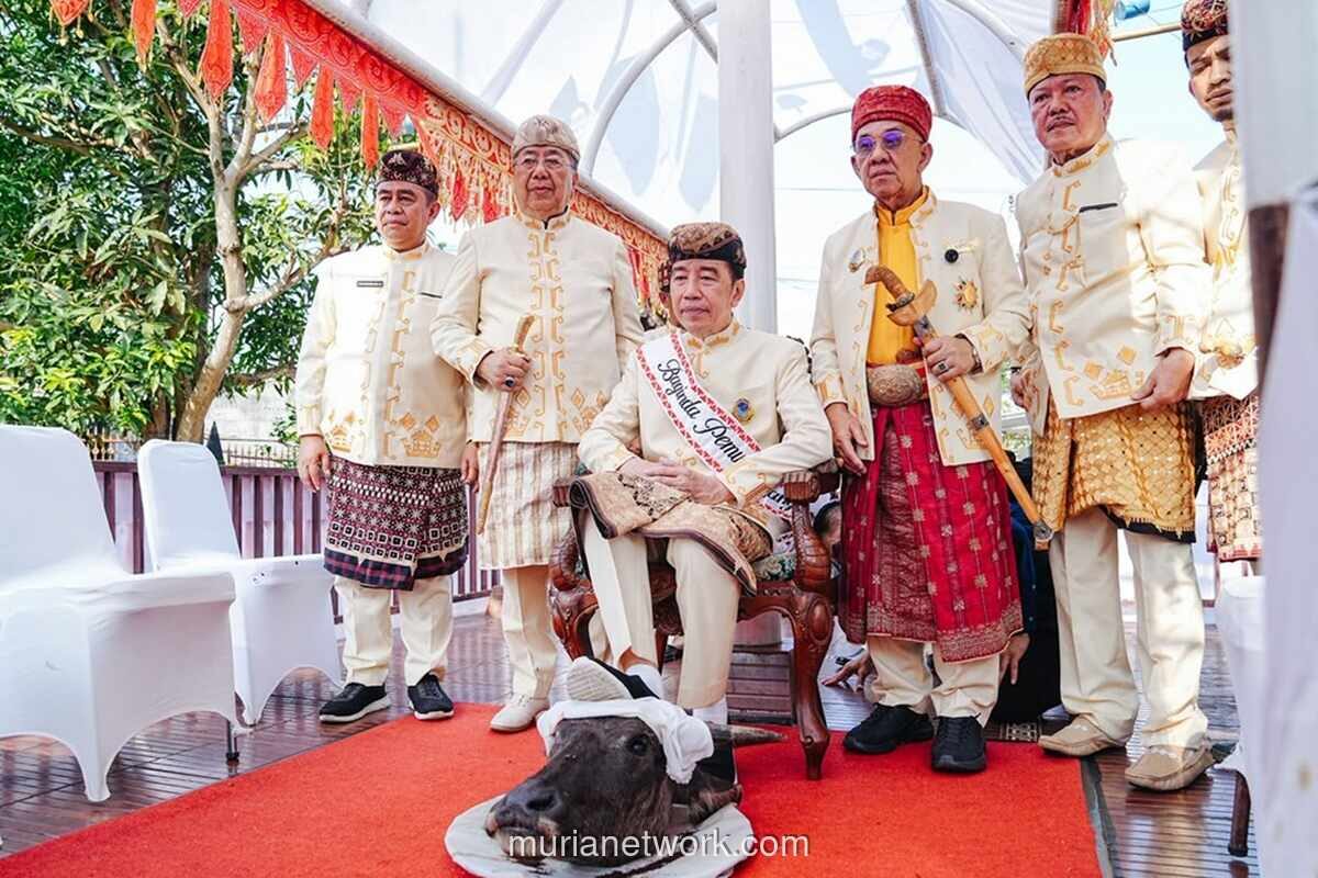 Jokowi Tak Pantas Sandang Gelar Adat?