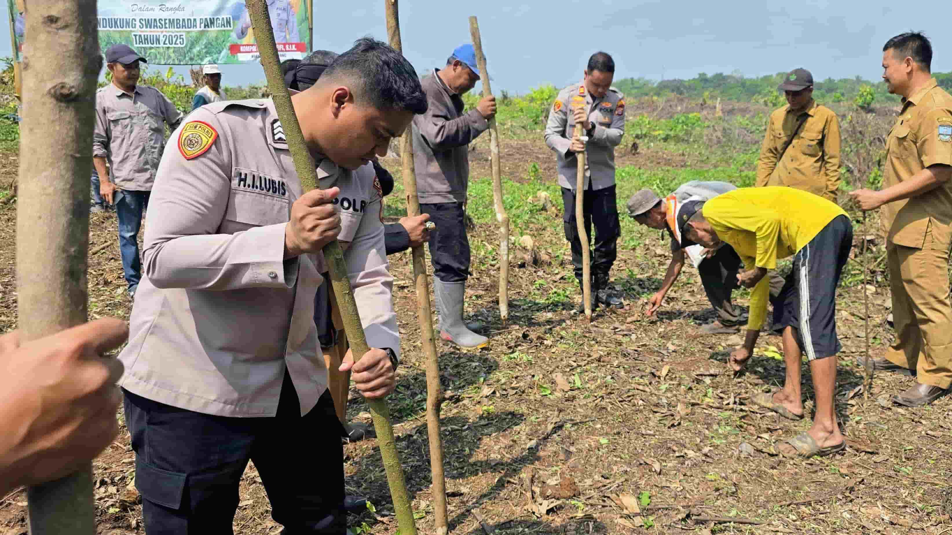 Polsek Petir Tanam Jagung di Lahan Warga