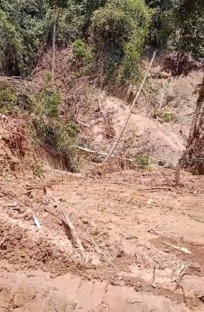 Dugaan Illegal Logging Diduga Libatkan Aktor Besar