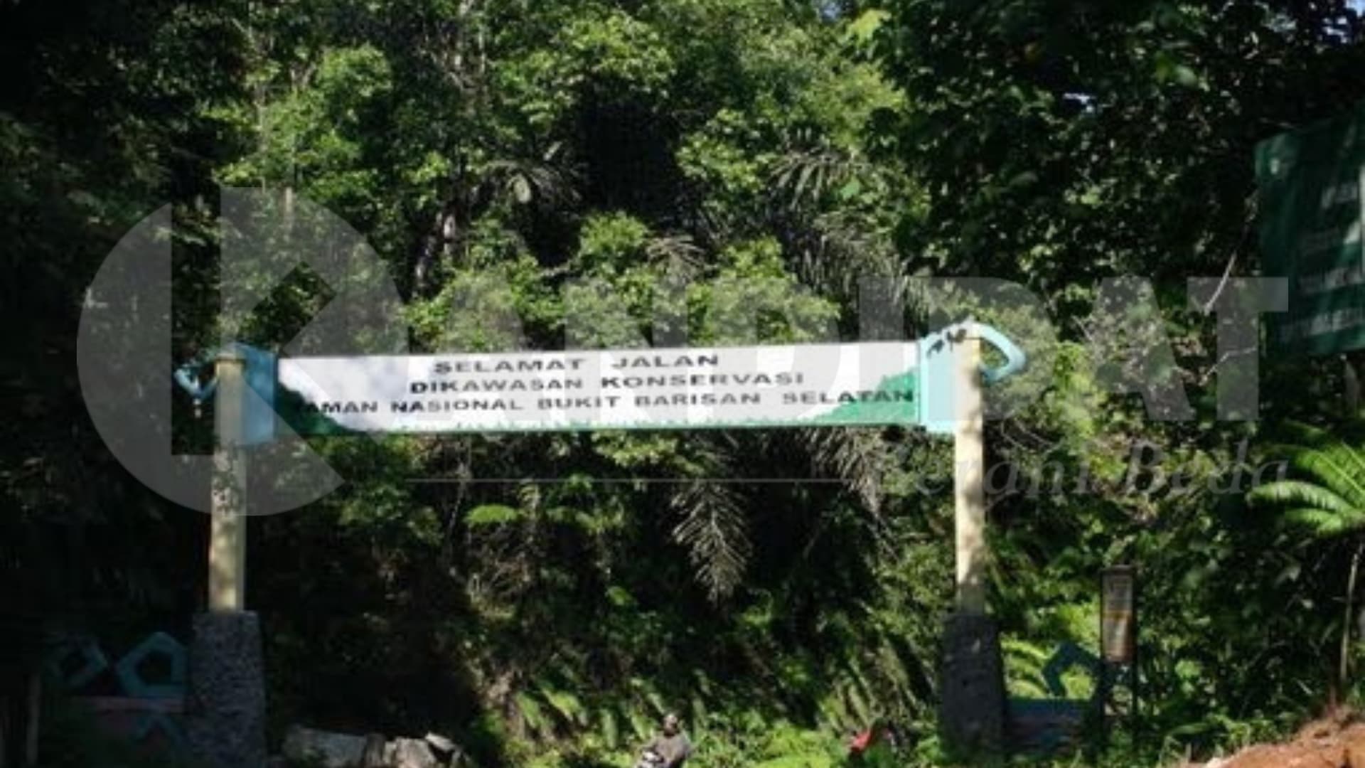 Kasus TNBBS Tuai Atensi