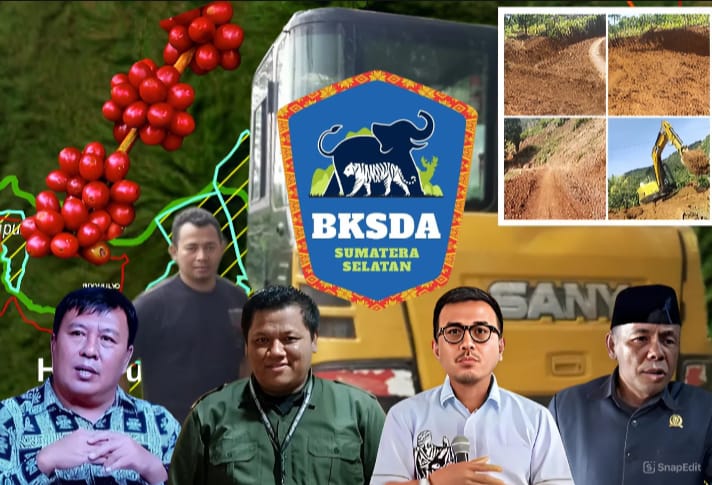 Hutan Lindung Dirusak, Dewan Lambar Bakal di Laporkan ke Kementerian