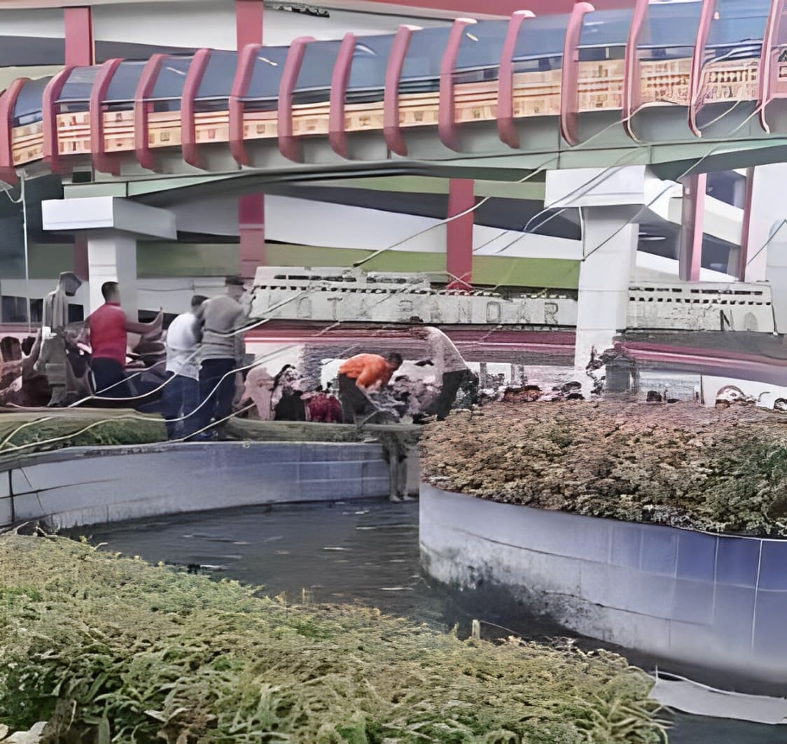 Anak Laki-laki Tanpa Identitas Ditemukan Tewas di Kolam Tugu Pengantin