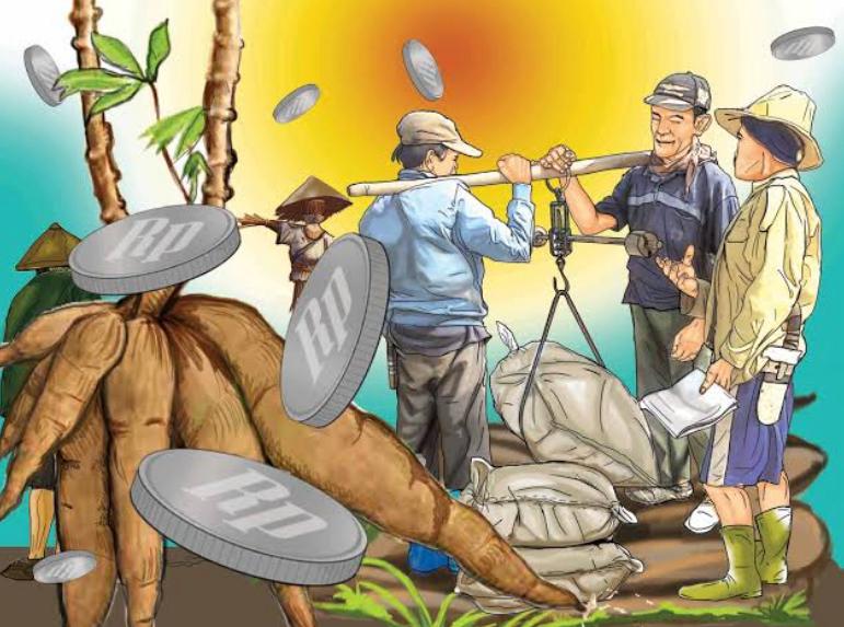 Pelanggaran Harga dan Rafaksi Singkong Masih Marak, Petani Lampung Rugi Hingga Ratusan Ribu per Ton