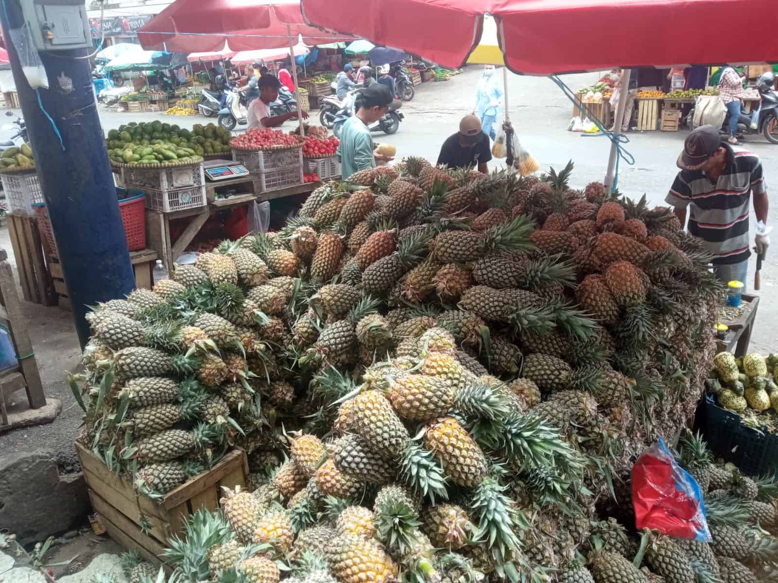 Pedagang Buah Lampung Sukses Kembangkan Usaha Berkat KUR BRI
