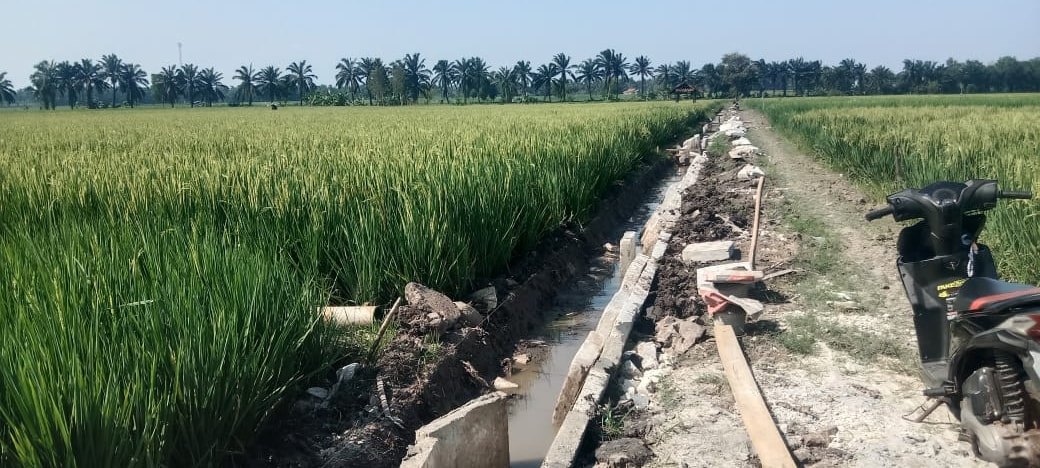 Dilamtim Ada Proyek “Siluman”