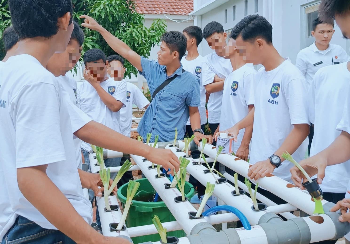 PKBI Lampung Gelar Pelatihan Hidroponik dan Telur Asin untuk Anak Berhadapan Hukum