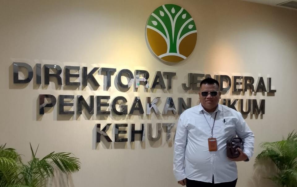APH Diminta Responsif Soal Illegal Logging