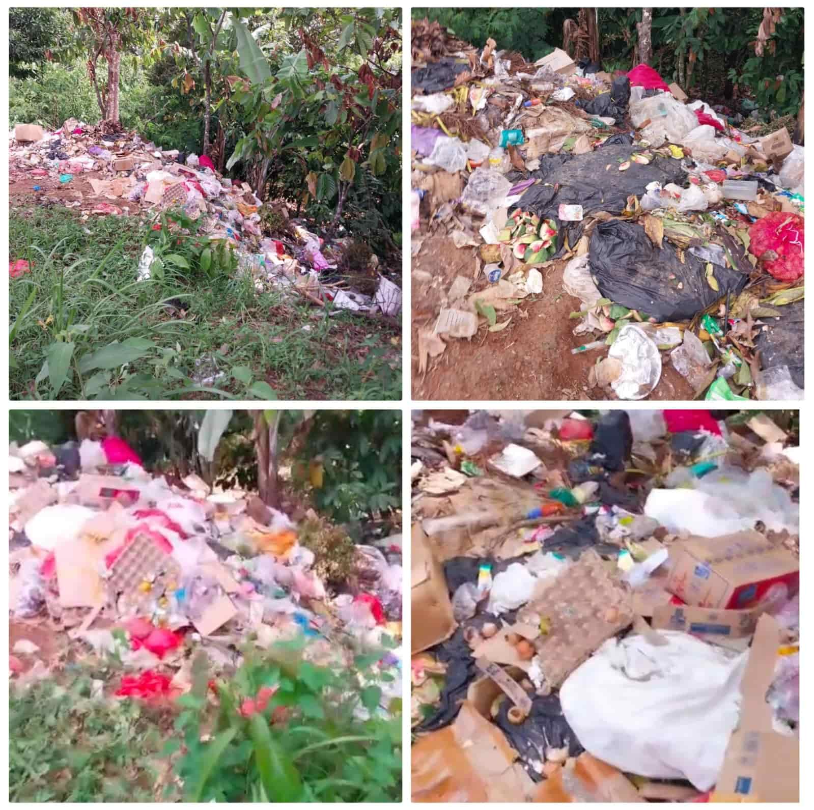 SPPG MBG Tugu Ratu Suoh Disorot: Bau Menyengat Resahkan Warga