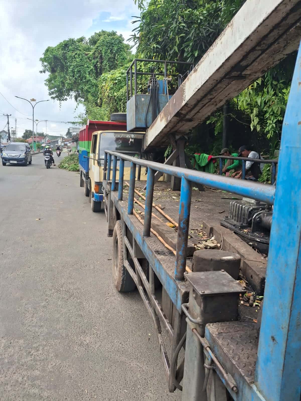 Pohon Tumbang di Jalur Dua Pramuka Bandar Lampung, BPLH Lakukan Penanganan Cepat