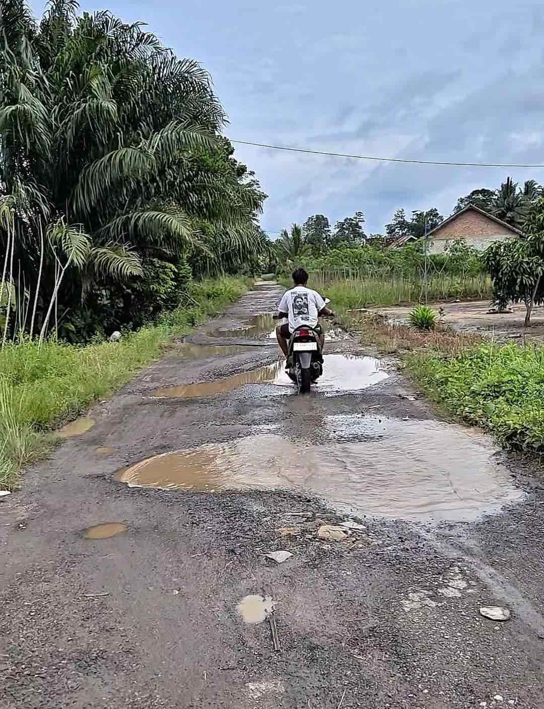 15 Tahun Jalan Poros Kelurahan Di Lampung Tengah Terabaikan