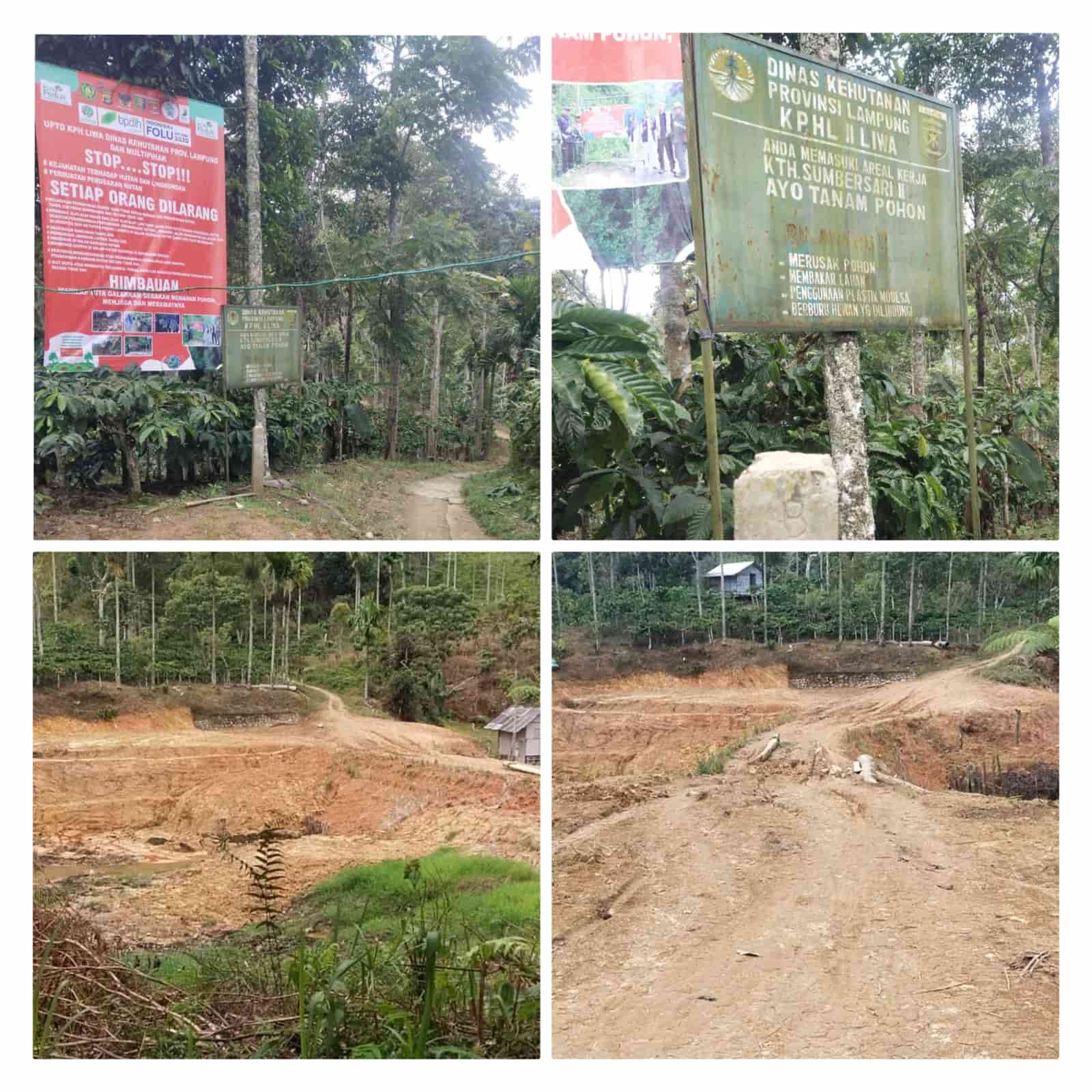 Excavator Merajalela Keruk Hutan Lindung