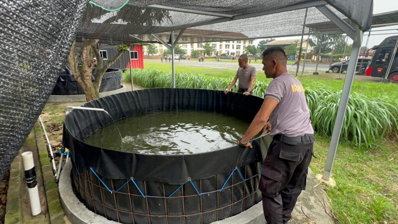 Plh Danyon A Pelopor Tinjau Program Ketahanan Pangan Budidaya Ikan