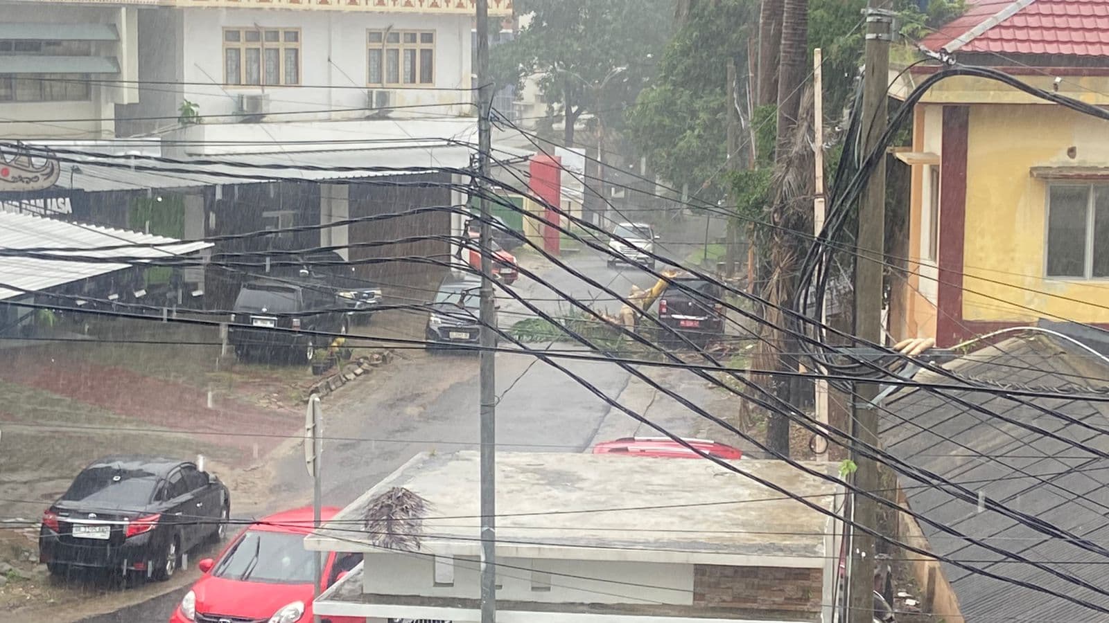 Akibat Hujan Deras, Pohon Palem Tumbang Timpa Mobil Dinas