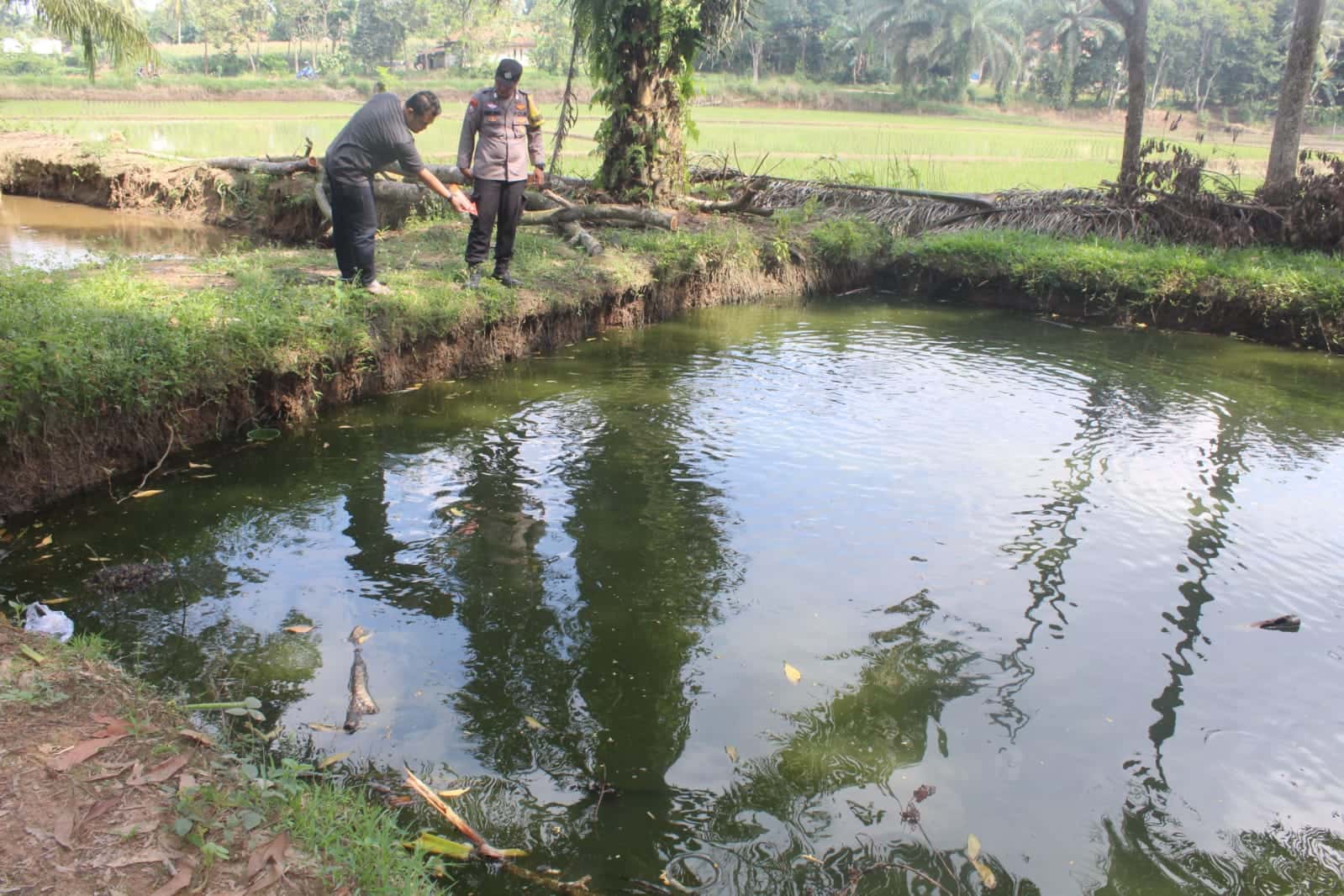 Diduga Terpeleset, Bocah 8 Tahun di Pringsewu Tewas Tenggelam di Kolam Ikan