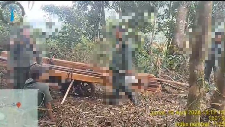 Nyanyian Pelaku Bongkar Dugaan Kades di Balik Illegal Logging : LLI Desak Polisi Jangan Lindungi Dalang