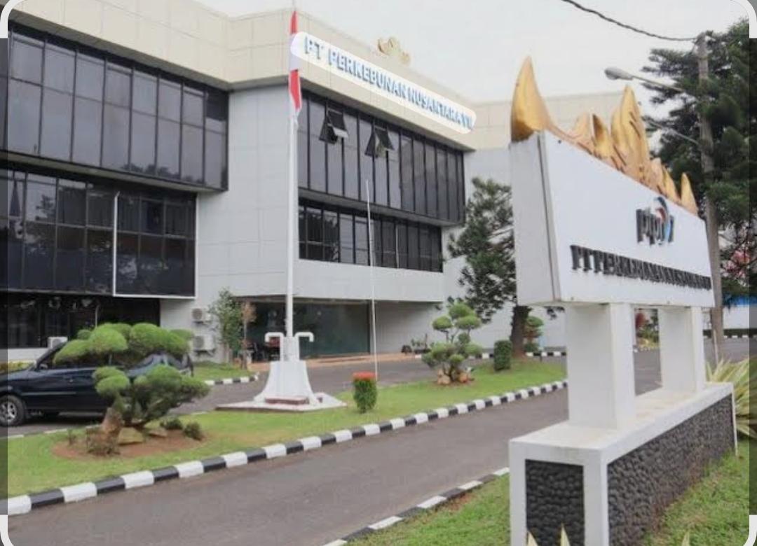 Ratusan Petani Plasma Mengeluh, Presiden Diminta Cek Dugaan Pembiaran Program Penghapusan Kredit Macet