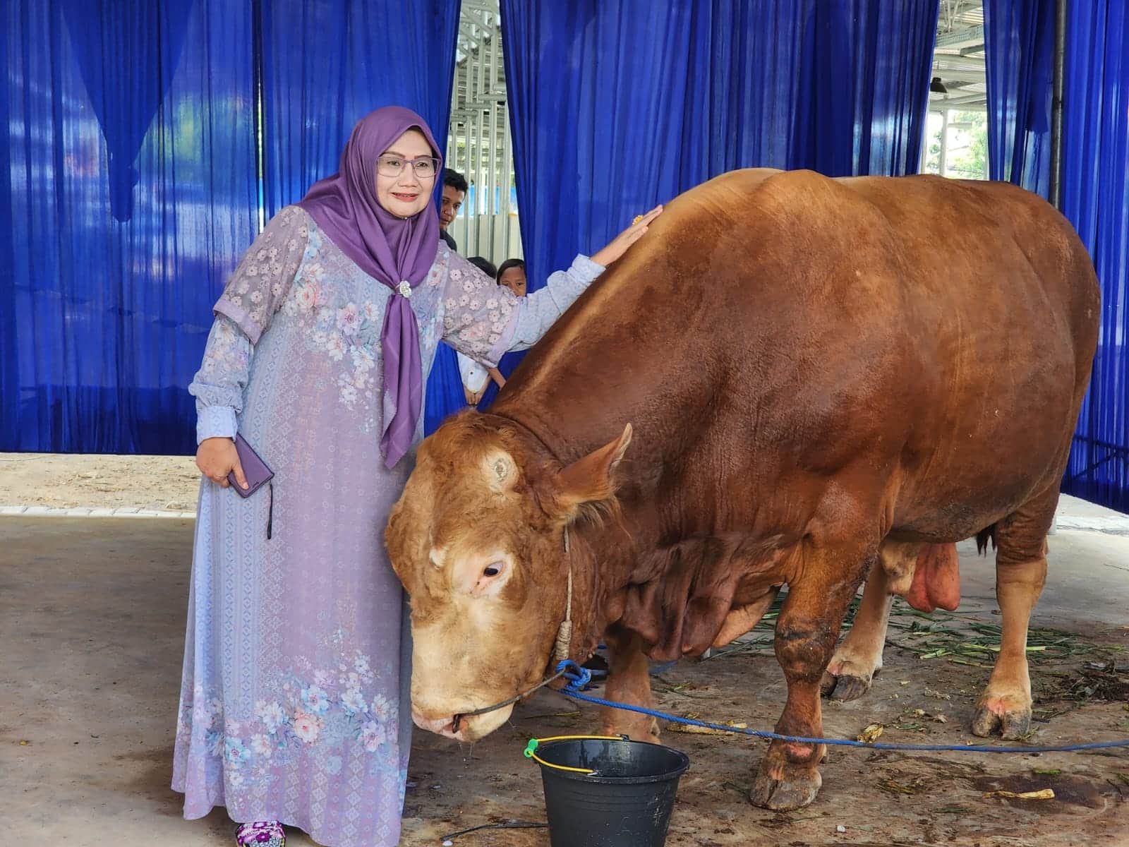 Penjualan Hewan Kurban di Lampung Meningkat Tajam Jelang Idul Adha