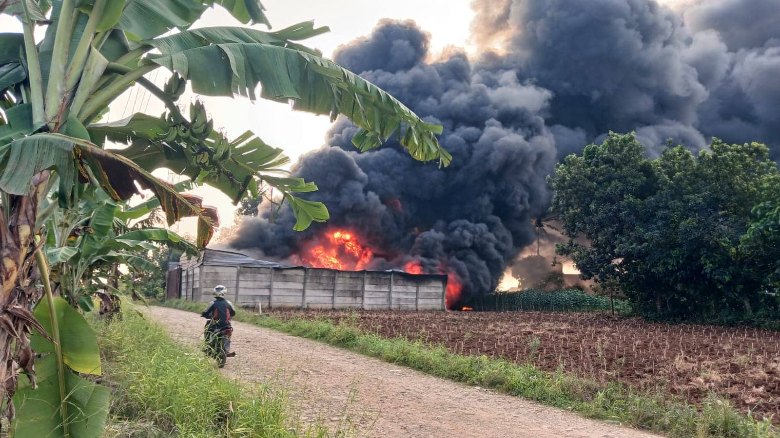Diduga Gudang Penimbunan Solar Terbakar di Pesawaran