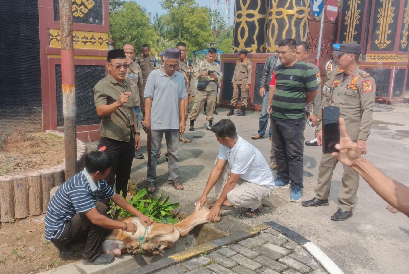 Warga Potong Kambing Usai Sekda Lampung Tengah Ditetapkan Tersangka