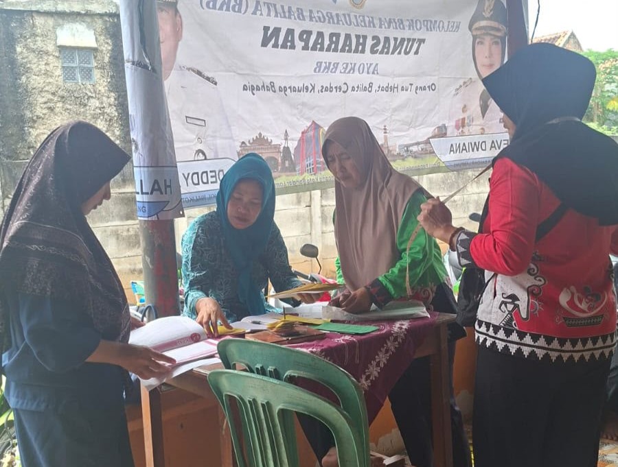 Puskesmas Rajabasa Indah Lakukan Pendampingan Pelaksanaan Posyandu ILP