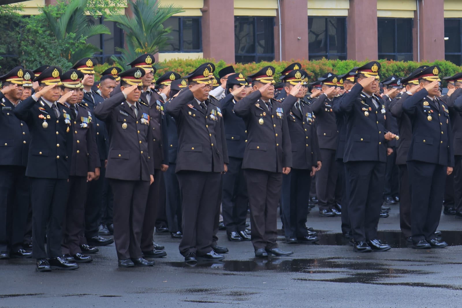 Diguyur Hujan, Personel Polda Lampung Tetap Khidmat Ikuti Upacara HUT Ke-81 RI