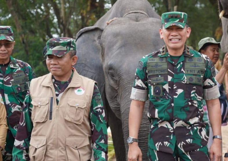 Saat Way Kambas Belajar Berdamai dengan Gajah: Dari Lebah, Sereh hingga Mahot ke Thailand