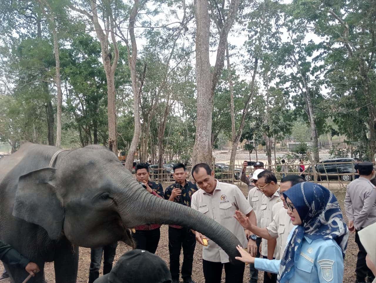 Setelah Karhutla, Komisi IV DPR RI Ingatkan Way Kambas Tak Boleh Sekadar Dipadamkan