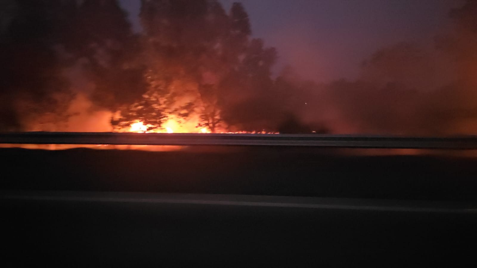 Kebakaran Lahan Kembali Terjadi di Tol Bakter Natar