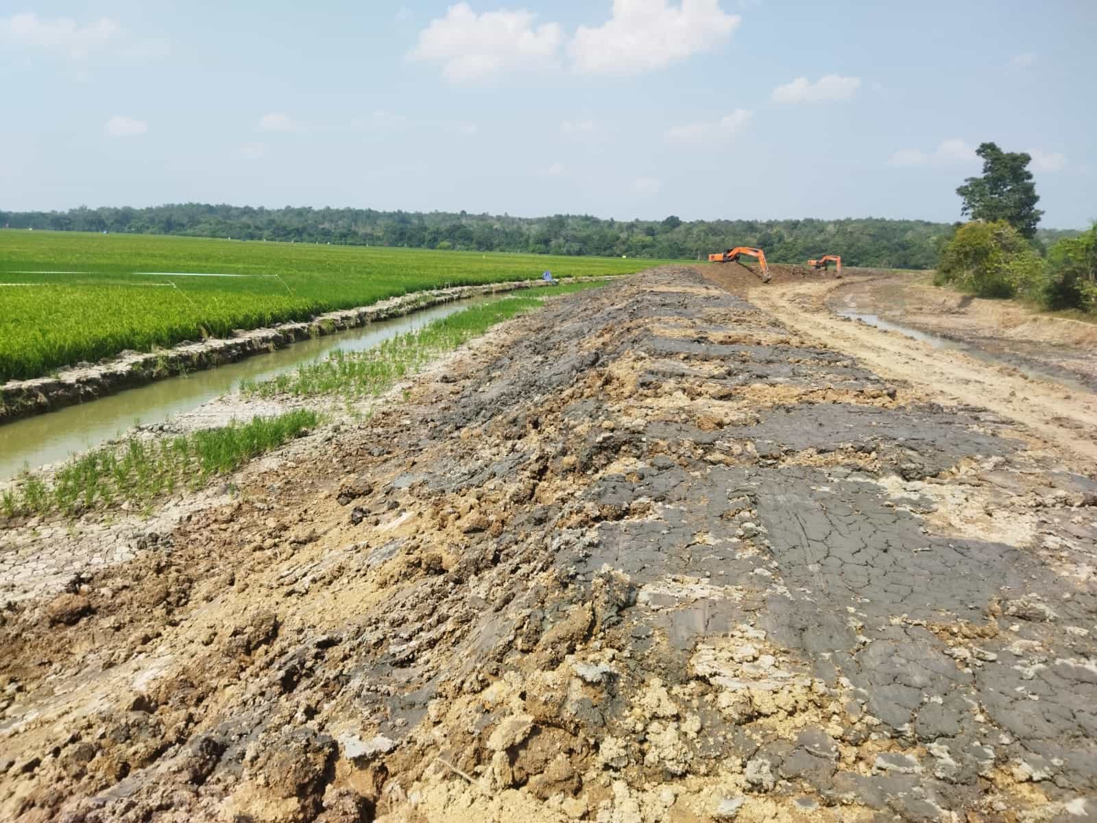 Pembangunan Pembatas Way Kambas Capai 82 Persen
