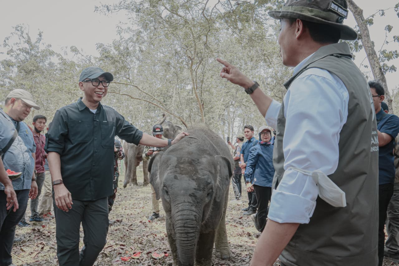 Mitigasi Konflik Gajah Diperkuat di TNWK