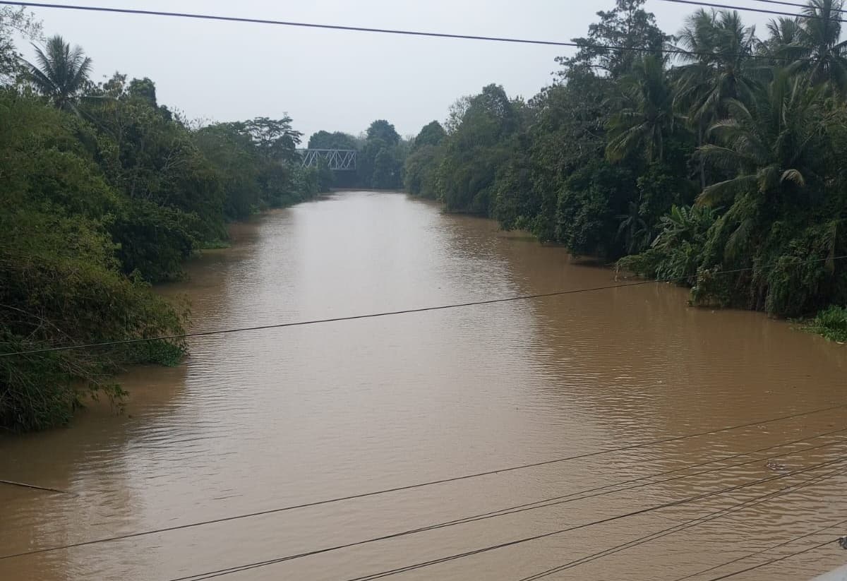 Lampung Darurat Air, Konsorsium Sungai Indonesia Siapkan Gerakan Penghijauan Hulu Way Besai